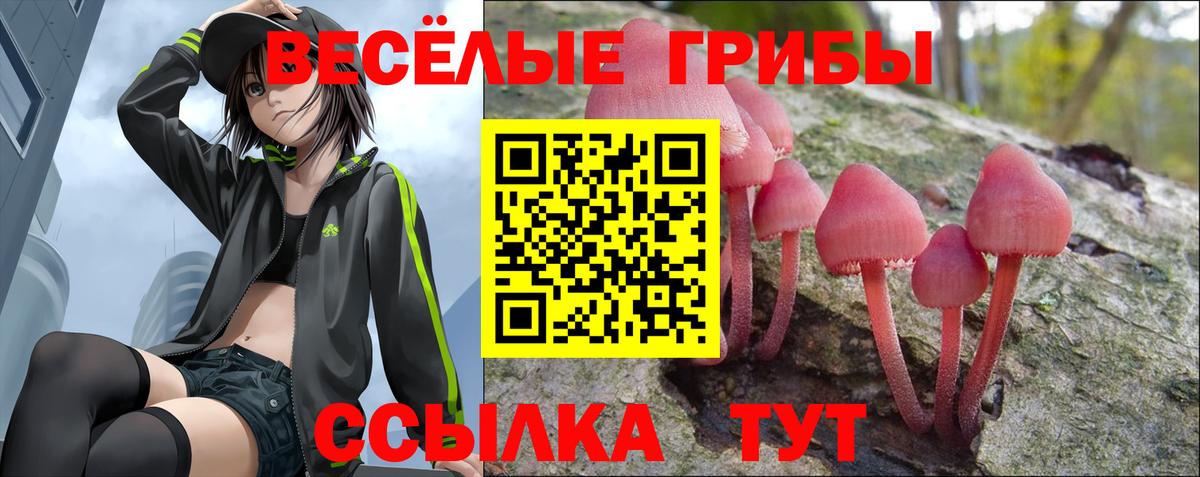 Псилоцибиновые грибы Psilocybine cubensis  Вход с VPN  Чусовой  Псилоцибиновые грибы ЛСД 