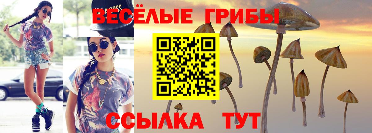 Галлюциногенные грибы мухоморы Чусовой
