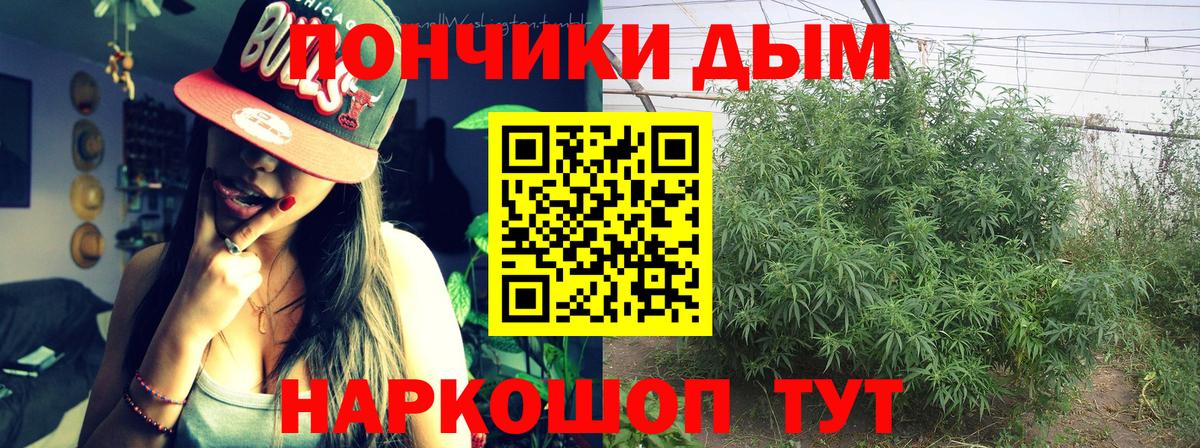 Марихуана планчик  Вход с VPN  Каннабис VHQ  Каннабис сатива  Чусовой 